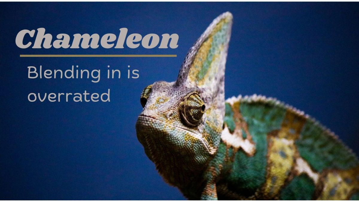 Chameleon - Sermon Title page (Proclaim)